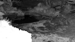 Still 2 from this detection