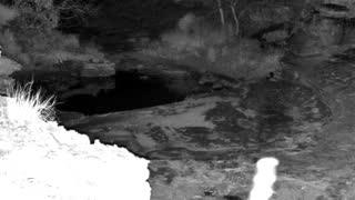 Still 2 from this detection