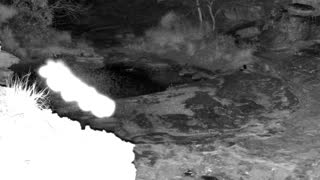 Still 1 from this detection