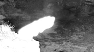Still 2 from this detection