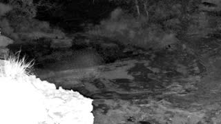 Still 3 from this detection