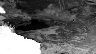 Still 1 from this detection