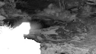 Still 2 from this detection