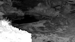 Still 3 from this detection