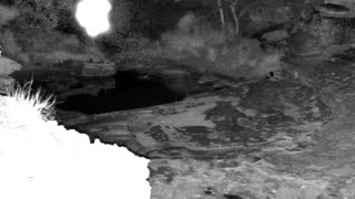 Still 2 from this detection