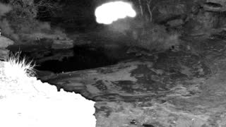 Still 3 from this detection