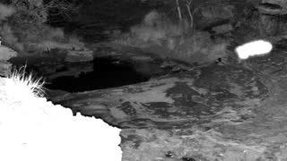 Still 1 from this detection