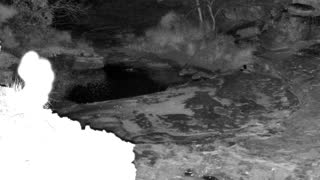 Still 2 from this detection