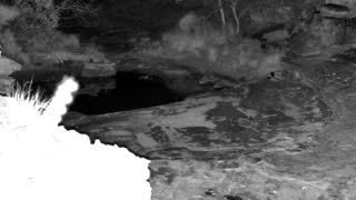 Still 1 from this detection