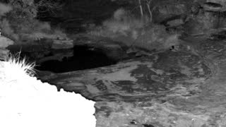 Still 2 from this detection