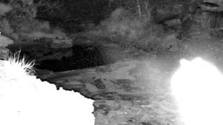 Still 2 from this detection