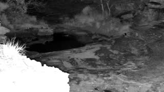 Still 3 from this detection