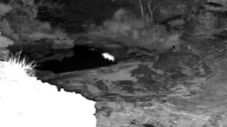 Still 1 from this detection