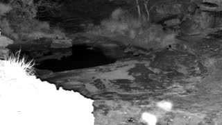 Still 2 from this detection