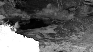 Still 3 from this detection