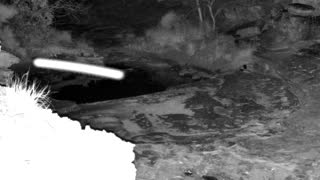 Still 2 from this detection
