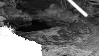 Still 3 from this detection