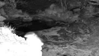 Still 2 from this detection