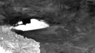 Still 2 from this detection