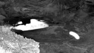 Still 3 from this detection