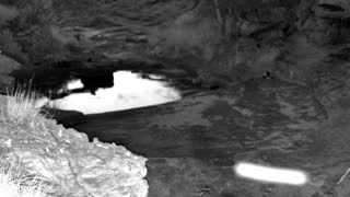 Still 3 from this detection