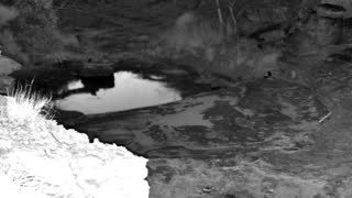 Still 2 from this detection