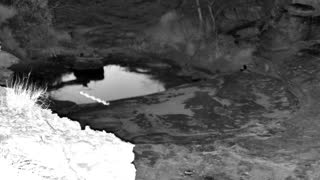 Still 3 from this detection