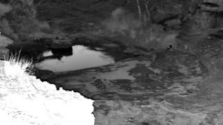 Still 2 from this detection