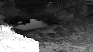 Still 3 from this detection