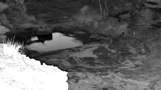 Still 2 from this detection