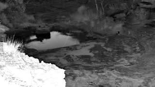 Still 1 from this detection