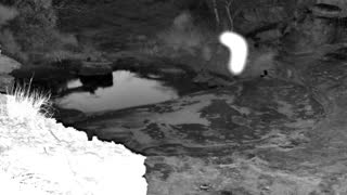 Still 3 from this detection