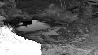 Still 2 from this detection
