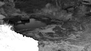 Still 1 from this detection
