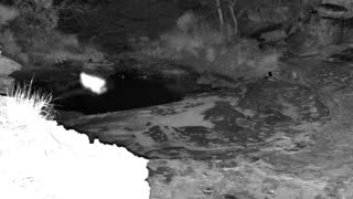 Still 2 from this detection
