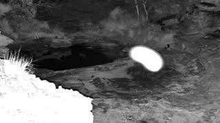 Still 3 from this detection