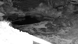 Still 2 from this detection