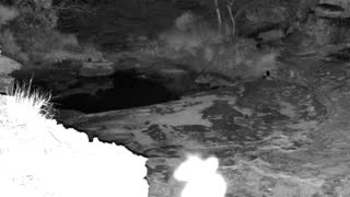 Still 2 from this detection
