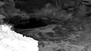 Still 3 from this detection