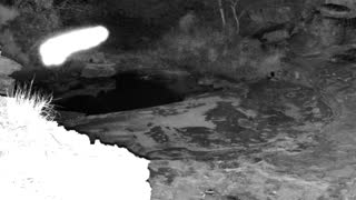 Still 1 from this detection
