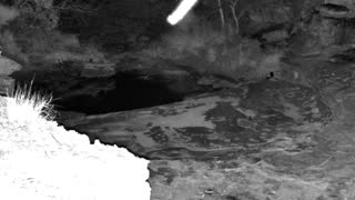Still 2 from this detection