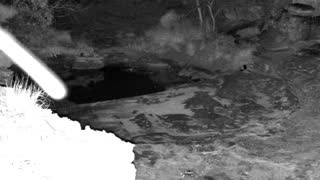 Still 1 from this detection