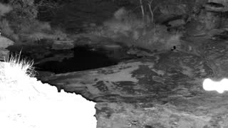 Still 3 from this detection