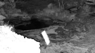 Still 1 from this detection