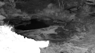 Still 2 from this detection