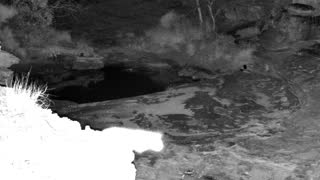 Still 1 from this detection