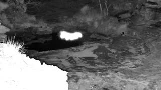 Still 1 from this detection