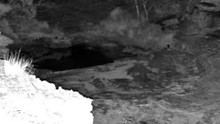 Still 2 from this detection