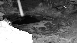 Still 2 from this detection