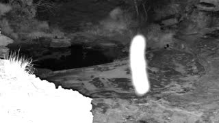 Still 1 from this detection